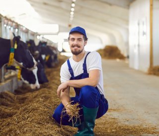 Statut agriculteur actif, nouvel installé, jeune agriculteur